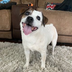 Meet your Posher, Dan